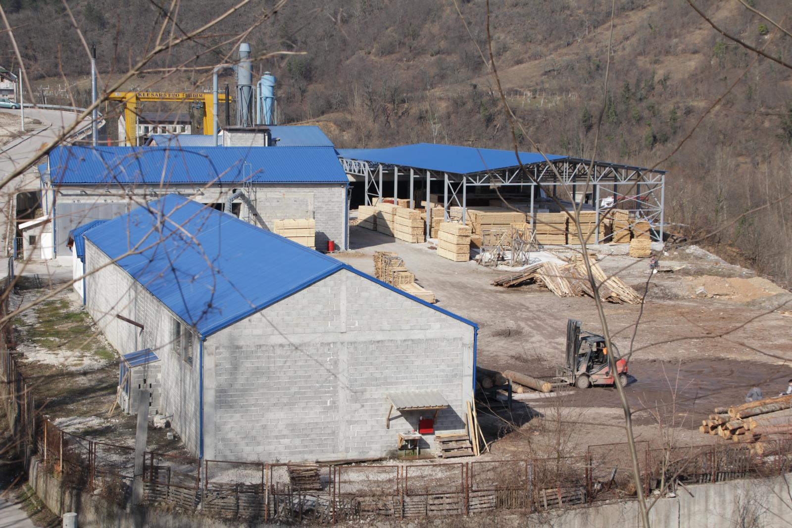 Wood logs prepared for timber production